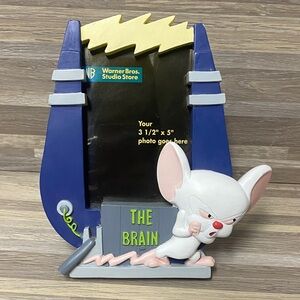 Pinky and the Brain Warner Bros Blue and Gray picture Frame Art 3D